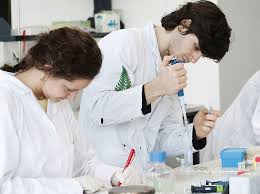 Bachelor biologie studium (b.sc.) die bachelorarbeit umfasst einen praktischen teil, dessen ergebnisse in einer schriftlichen arbeit dargelegt werden. Biologie Bachelor