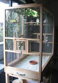 Inside, i placed a removable homemade bird play gym, a rope boing and toys. Pin On Bird Houses