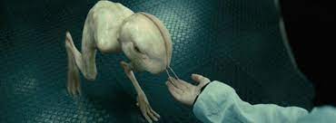 Splice (2009) | RantBit