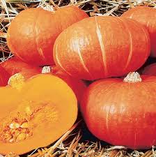 We did not find results for: Kabocha Winter Squash Japanese Pumpkin Sunshine Cucurbita Maxima My Garden Life