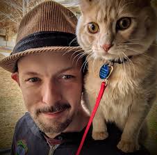 Deceased Orange Cat Found in Waltham, MA Basement