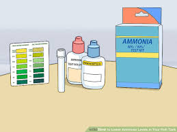 3 Ways To Lower Ammonia Levels In Your Fish Tank Wikihow