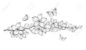 Check spelling or type a new query. Cherry Flower Blossom Botanical Art Spring Almond Sakura Royalty Free Cliparts Vectors And Stock Illustration Image 117071199