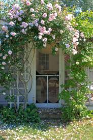 We did not find results for: The 7 Best Climbing Roses For Your Garden Gardenista