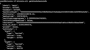 How to mine bitcoins with bfg miner on ubuntu? Run A Bitcoin Node On Ubuntu 19 10 By Fernando San Martin Medium