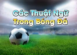 Forum cá cược online với góc nhìn đa chiều và khách quan. Tá»•ng Há»£p Cac Thuáº­t Ngá»¯ Trong Ca CÆ°á»£c Bong Ä'a Chi Tiáº¿t Nháº¥t 2020