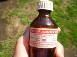 Nashatyrnyj Spirt Primenenie Dlya Sada I Ogoroda Otzyvy