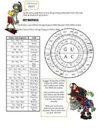 What effects can mutations have on dna, mrna, and amino acid sequences? Pin On Teaching