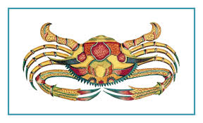 Details About Fallours Renards Colorful Tropical Crab Counted Cross Stitch Chart Pattern