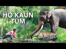 Junglee movie has power pack action and most of the stunts are performed by vidyut jamwal itself. Junglee Where To Watch Online Streaming Full Movie