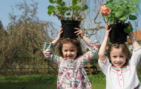 Leg weakness is the states which your leg muscles are weaken which is demonstrated through the incapability of your feet and legs to perform movements. Could My Child Have Growing Pains Drgreene Com
