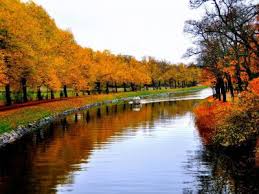Get there easily from the city centre by foot, or hop on a boat from nybrokajen or gamla stan/slussen. Kungliga Djurgarden Stockholm