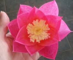 7.5cm x 13.5cm (12x) how to make an origami lotus flower. Paper Lotus Flower Collection Of The Best Handmade Diy Tutorials Creative Pop Up Cards