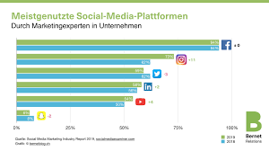 Schlussendlich hängen passende social media plattformen auch von ihrer branche ab. Studie Social Media Marketing 2019 Facebook Immer Noch Top Aber Wie Lange Noch Bernet Relations