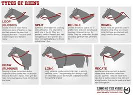 Pin Pada Horse