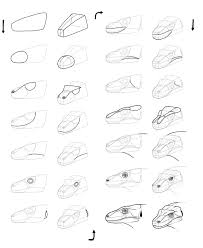 Sketchbook Original How To Draw Lizards Monika Zagrobelna This video will teach you how to draw a realistic looking face with a happy (smile) expression. how to draw lizards