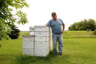 Bee positive: Number of beekeepers climbs in North Dakota - Grand ...