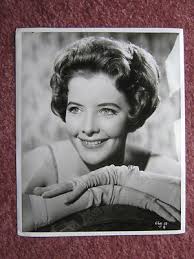 June Thorburn Original Vintage Portrait Photo 1960 Don't Bother To Knock