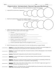 Organization Homeostasis Neuron Review Worksheet Https Www Yumpu Com En Document View 17087755 Organization Biology Worksheet Worksheets Worksheet Template