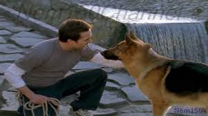 Rex chien flic france 2 replay. Wofur Kinder Leiden Mussen S9 Episode 2 Rex Chien Flic