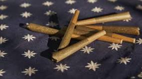 Resultado de imagen para blunt