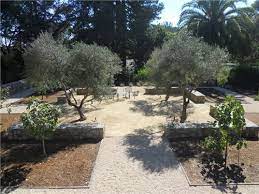 It's developed from the natural weathering and disintegration of solid granite, a challenging, difficult, igneous rock. Decomposed Granite Paving Landscaping Network