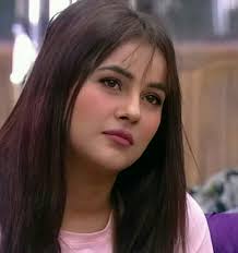 Pin By Sara Khan On Shenaaz The Gem In 2020 Katrina Kaif Photo Indian Actresses Punjabi Models