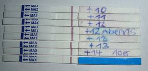 Wir erklären die anzeichen, symptome und zeigen ihnen, wie sie sicher die ovulation erkennen. Ss Testreihe Unserkuekens Jimdo Page