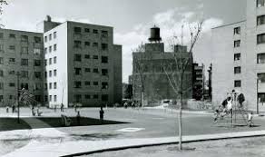 Compare, read reviews and book online. Life And Death Of The Projects Chicago Gang History