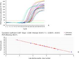 Amplification Graph A And Standard Curve B Of Real Time Pcr Of Download Scientific Diagram