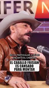 Caballos Frisian: Características y Montaje