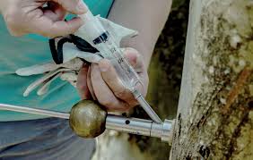 images?q=tbn:ANd9GcRX7_28URDkT7mAeSHJf-bsoc9siaqo4v6Llg&s