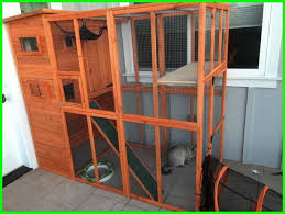 Kandang kucing tingkat super ekstra jumbo size xxxl 97x66x75 cmrp449.000: 15 Model Kandang Kucing Kayu Yang Bagus Daftarhewan Com