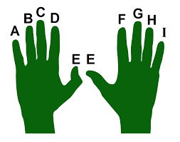 Your right hand should not be used. Topic B The Base Position Key Concepts Of Computer Studies