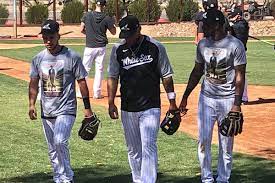 The trigger for the delay wasn't so much the rain as. White Sox Declare Nick Madrigal The New Mr 3 000 Chicago Sun Times