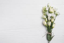 Magnolia flower magnolia flower isolated on white background. Flowers Bouquet White Background Eustoma Hd Wallpaper Wallpaperbetter