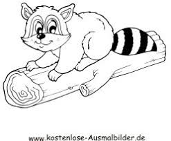Waschbaeren Ausmalbilder Ausmalbilder Waschbaeren Ausmalbilder Ausmalen Tiere Zum Ausmalen