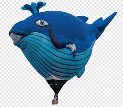 Check spelling or type a new query. Parlamento Canberra Canberra Globo Espectacular Vuelo Forma De Globo De Ballena Mamifero Marino Ingles Png Pngegg