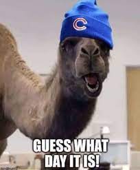 Pin By Julie Ball On Chicago Cubs Funny P Funny Memes Happy Birthday Funny Humorous