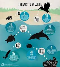 2011 Statistics Published By Ocean Conservancy Shows How Marine Wildlife Is Impacted By Floating Trash An Marine Debris Ocean Conservation Animal Conservation