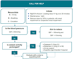 Image result for Mild PIH Management