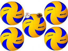 Volley is australia's sneaker icon. Volley Shop De