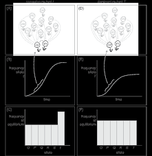 A dominant allele is an allele where its phenotype will always be represented when the allele for a recessive allele can be masked by a dominant allele when a dominant and recessive allele are. Explanation Of Why Recessive Alleles Reach A Higher Frequency At Download Scientific Diagram