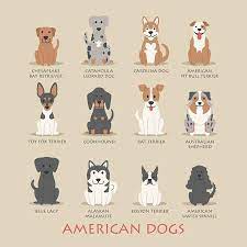Learn about dog breeds that were developed in the united states. What Are The American Dog Breeds Interested Click Here Dog Breeds List Pets Dogs Breeds American Dog