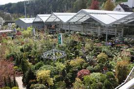 Wir freuen uns, dass sie unsere homepage besuchen. Bacher The Lifestyle Garden Centre Near Zurich Bacher Gartencenter
