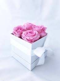 Trias flowers serves its customers nationwide through our selective list of affiliate florists throughout the country. Jr Roses Wholesale Flowers Jrroses Com Twitter