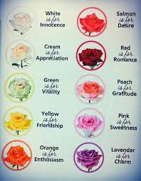 Birth Month Flower Chart Roses My Birth Month Flower Rose Color Meanings Flower Meanings Chart Flower Meanings