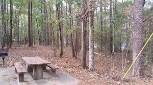 The park scenic overlook provides a panoramic view of the bienville national forest. Roosevelt State Park Morton Mississippi Us Parkadvisor