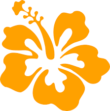 Free Image On Pixabay Hibiscus Flower Orange Hibiscus Free Images Flowers