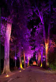 Light Oak Trees With Orange Light Modern Landscape Lighting Design Ideas Bringing Bea Outdoor Landscape Lighting Landscape Lighting Design Landscape Lighting